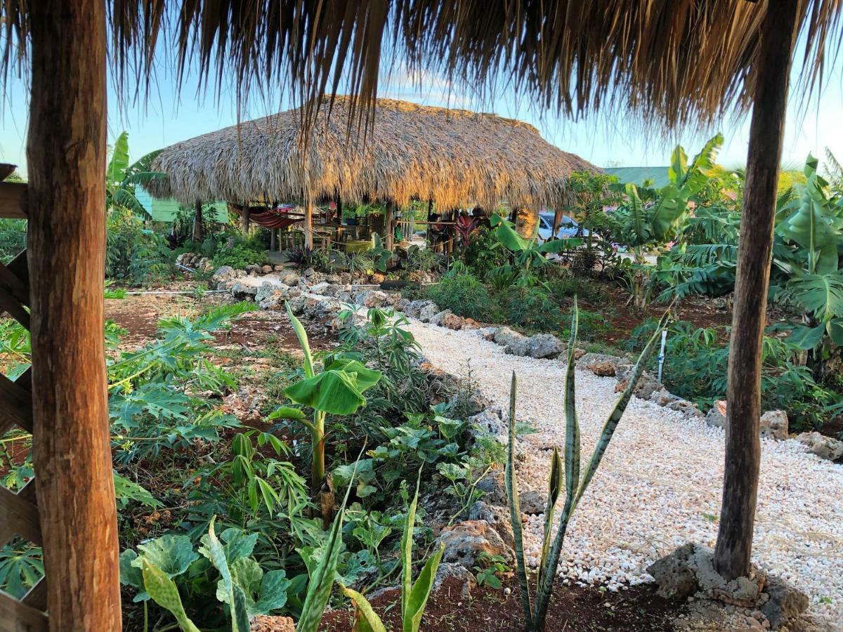Villa Guaiguei Bayahibe Exterior foto
